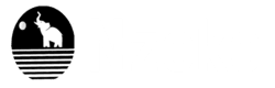 Nzoko Forms